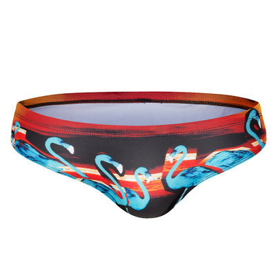Austin Brazilian Trunks